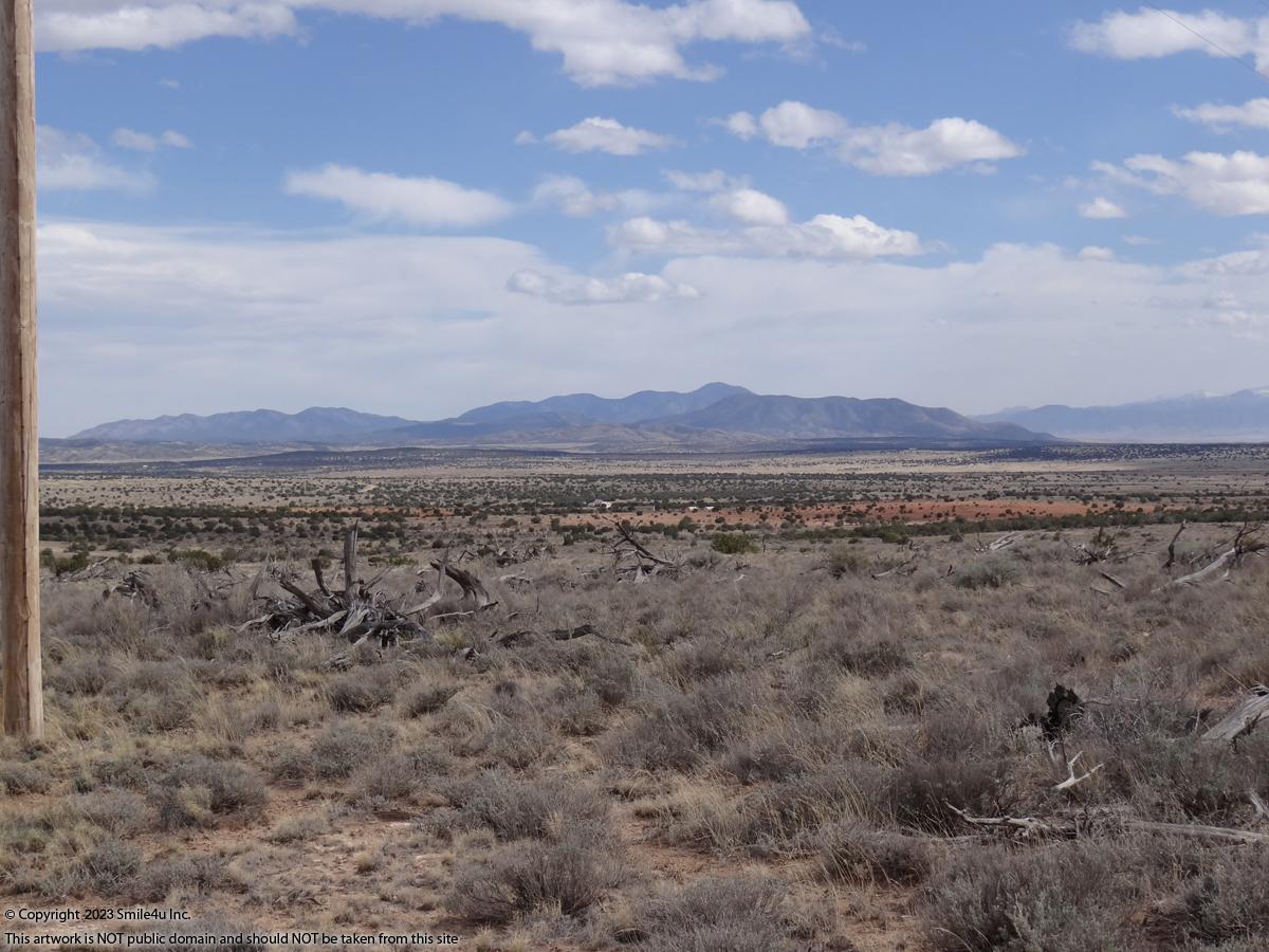 50 Acres land for sale in Carrizozo, NM by Ruidoso about 2.5 hours SE